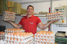 Frische Eier direkt vom Erzeuger - Hühnerhof Scheck